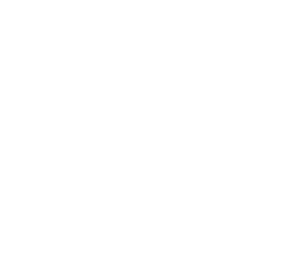Our Services 